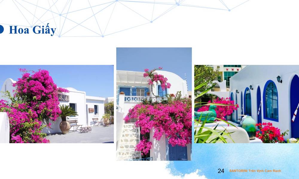 Thiết kế hoa giấy căn hộ Condotel Cam Ranh Bay 