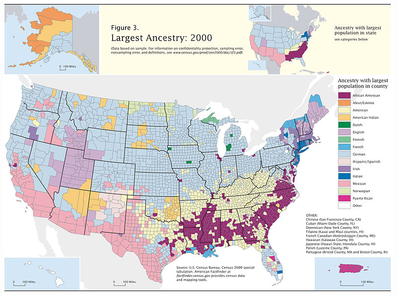 Bản đồ các nhóm sắc tộc lớn nhất theo từng quận, 2000
