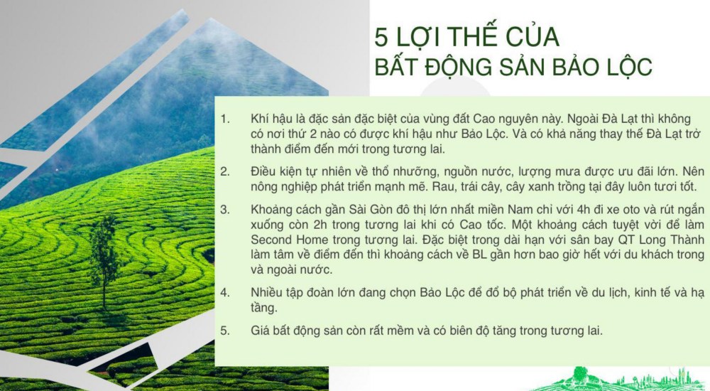 5 lợi thuế của bất động sản Bảo Lộc 