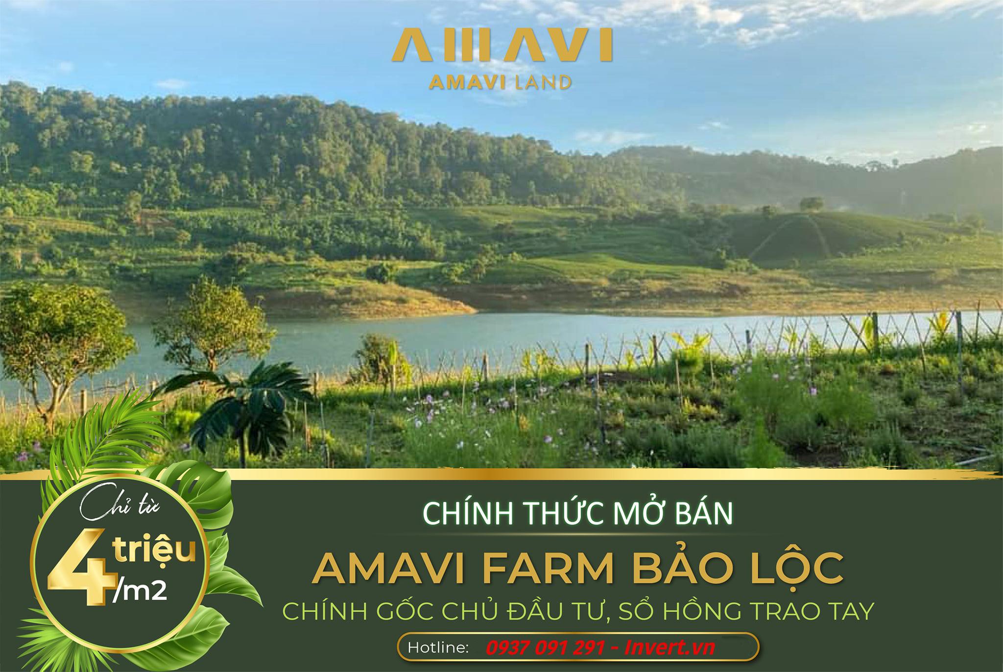Giá bán Amavi Farm Bảo Lộc chỉ từ 4 triệu/m2
