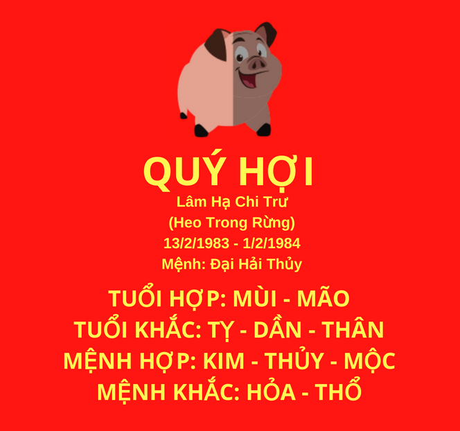 Sinh năm 1983 Mệnh gì Tuổi Quý Hợi hợp Tuổi nào Màu gì