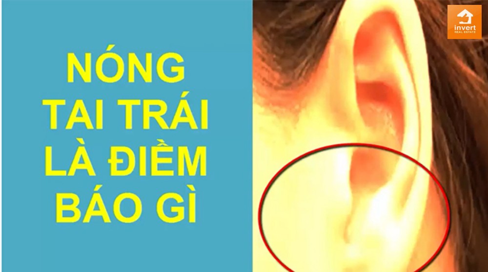 nong tai là gì