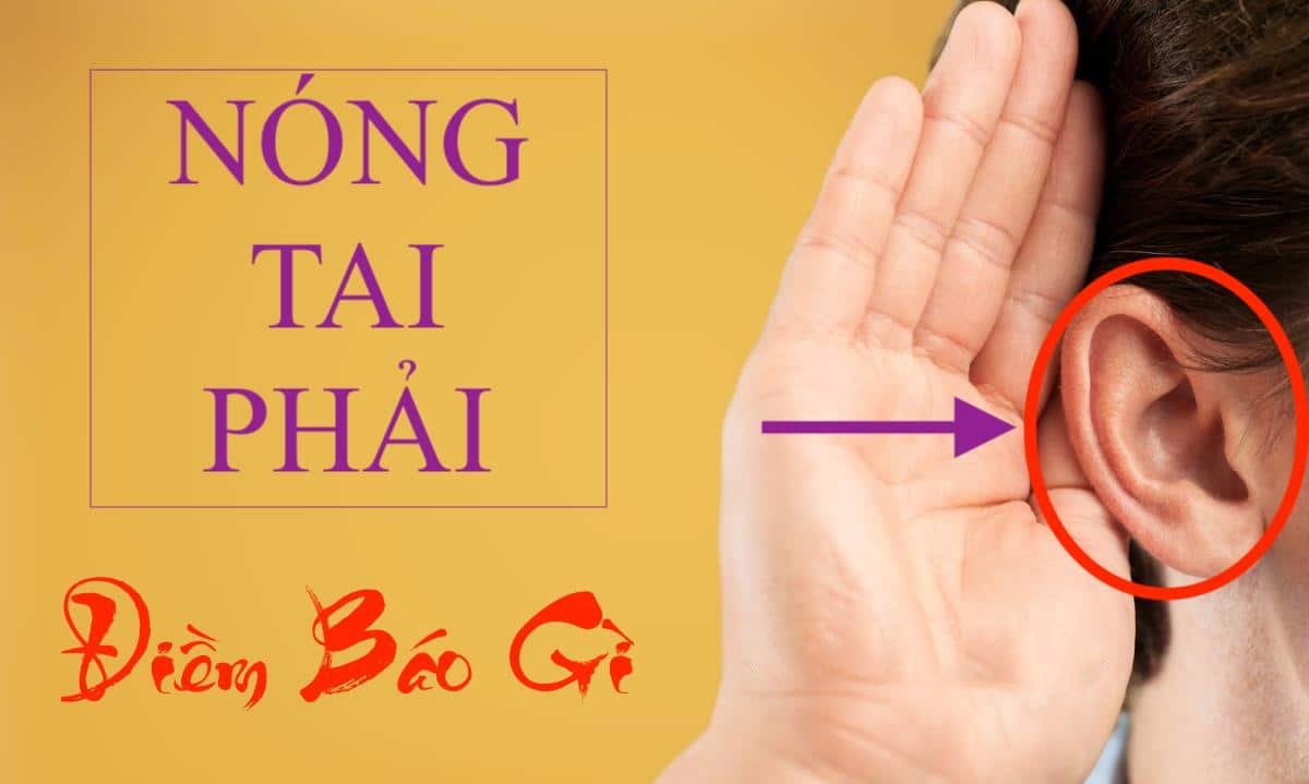 11171539 2 nong tai phai