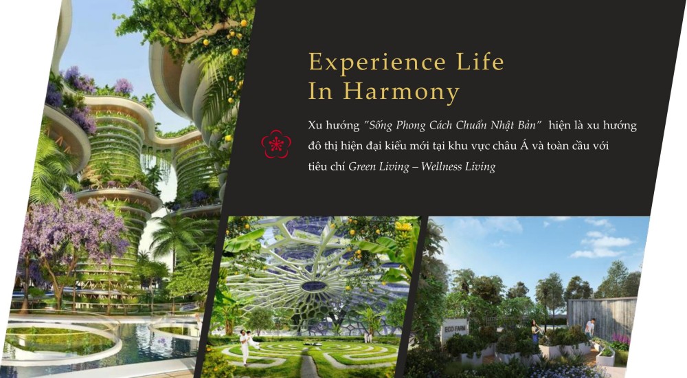 Experience Life In Harmony: Xu hướng ”Sống Phong Cách Chuẩn Nhật Bản”