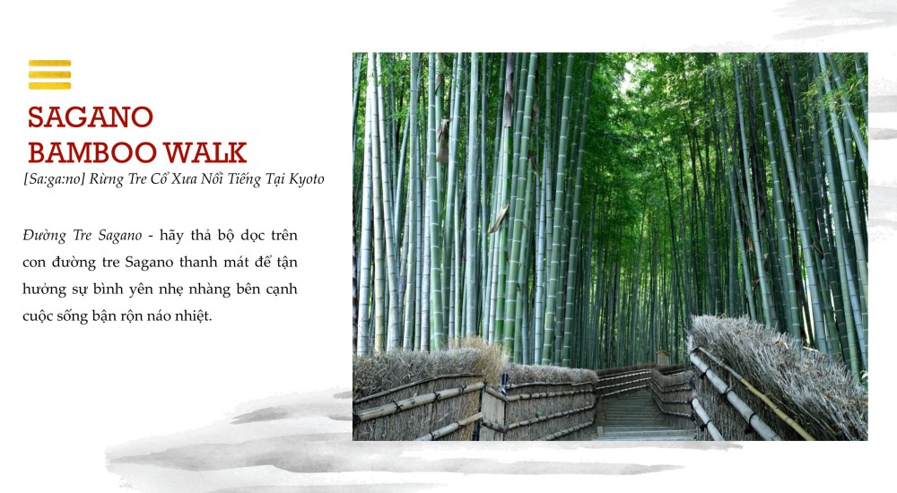 SAGANO BAMBOO WALK [Sa:ga:no] Rừng Tre Cổ Xưa Nổi Tiếng Tại Kyoto