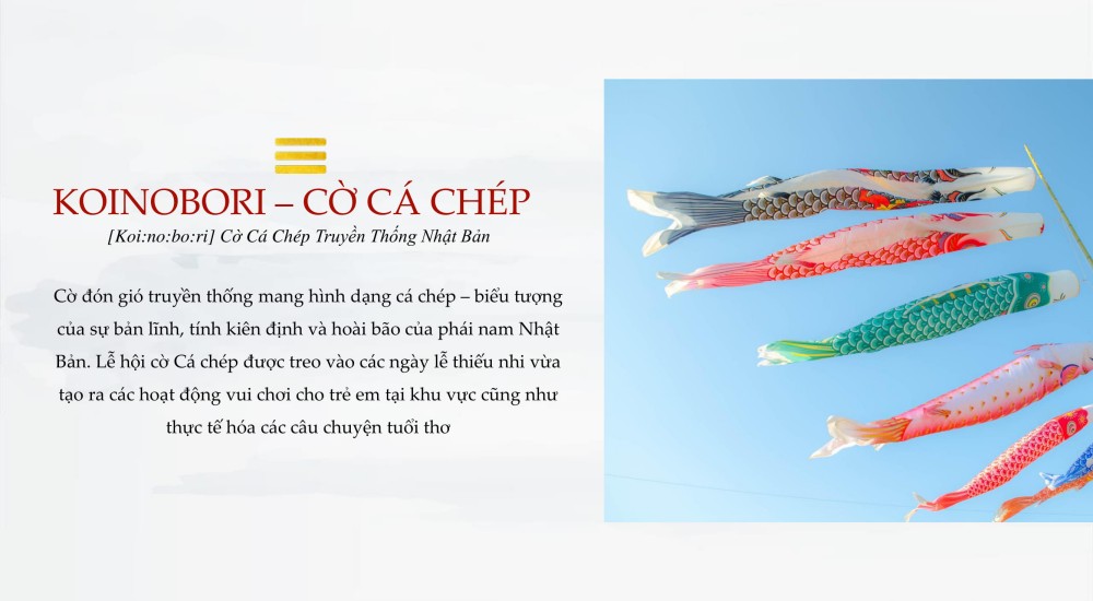 KOINOBORI – CỜ CÁ CHÉP [Koi:no:bo:ri] Cờ Cá Chép Truyền Thống Nhật Bản