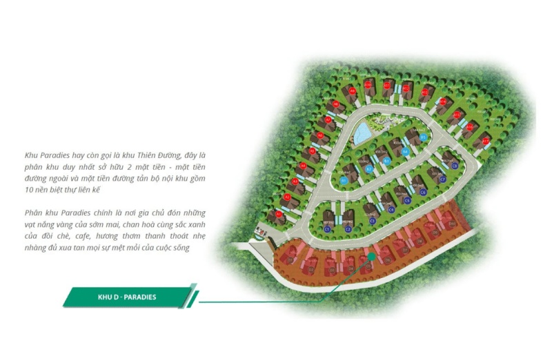Mặt bằng phân lô Khu D Paradies
