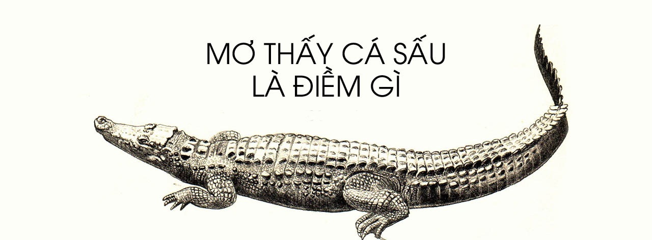 GameThuVi.Com - Mơ thấy cá sấu 2