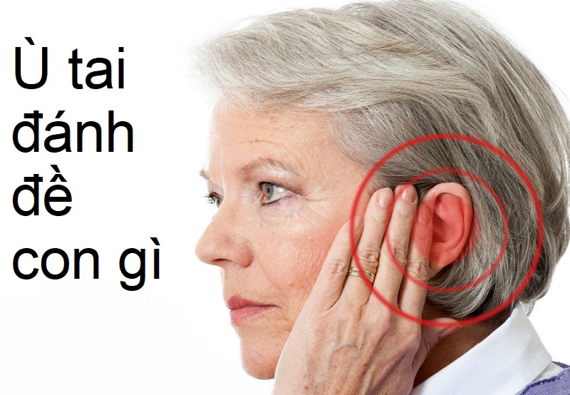 GameThuVi.Com - ù tai phải 20