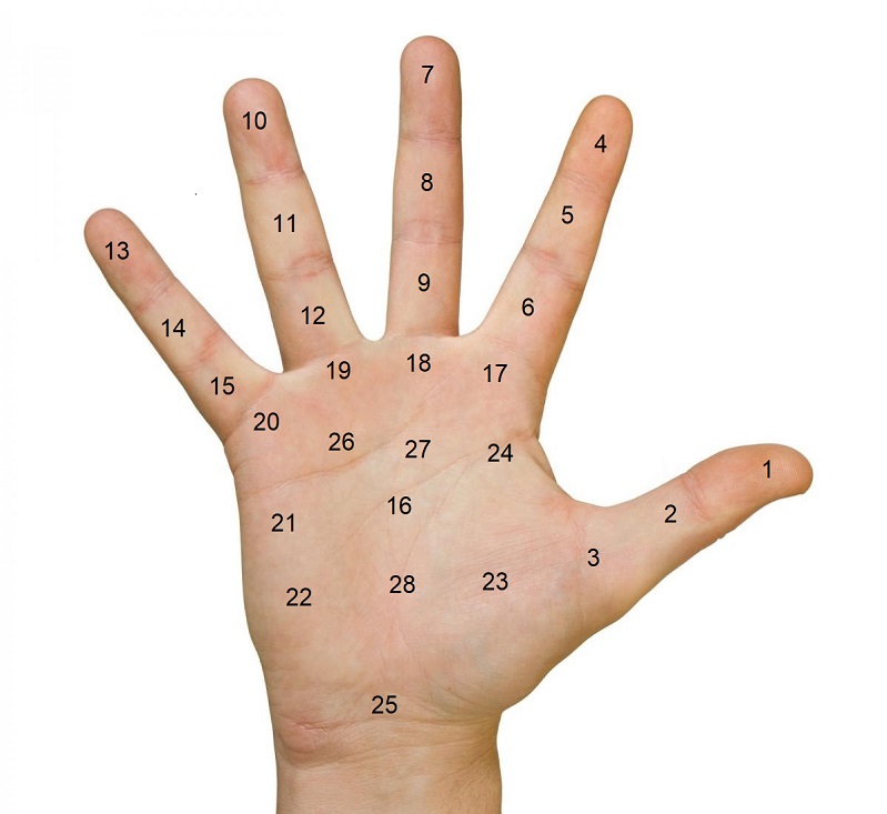 Giải mã 28 vị trí nốt ruồi xanh ở lòng bàn tay