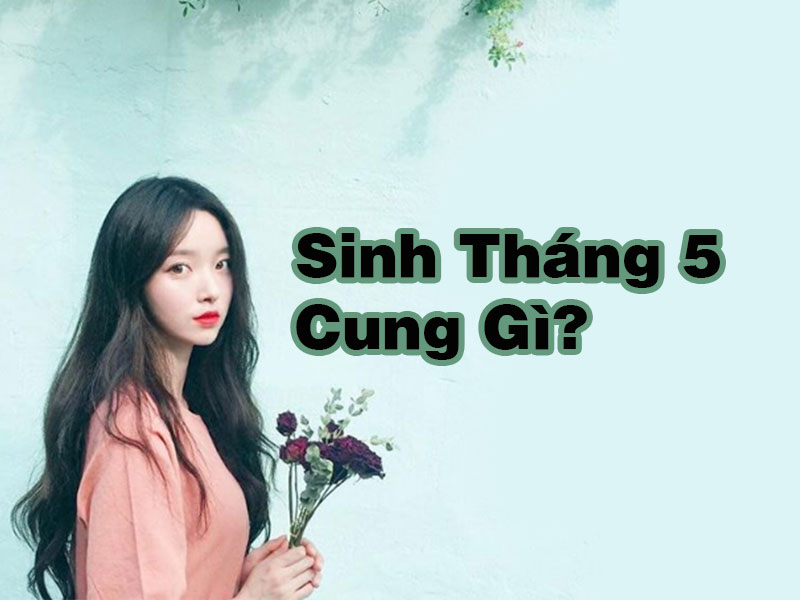 Tổng ăn ý 25+ mon 5 là cung hoàng đạo gì hoặc nhất