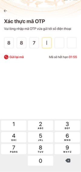 Nhập mã OTP được gửi về tin nhắn theo số điện thoại bạn đã đăng ký ở các bước trước.