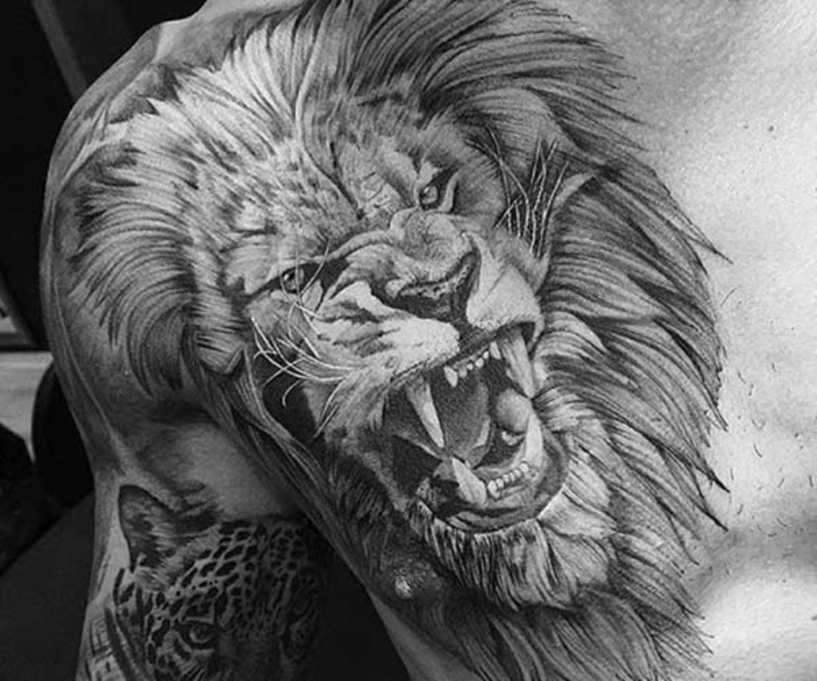 101 mẫu hình xăm sư tử đẹp và ý nghĩa  Thẩm mỹ Thu Cúc