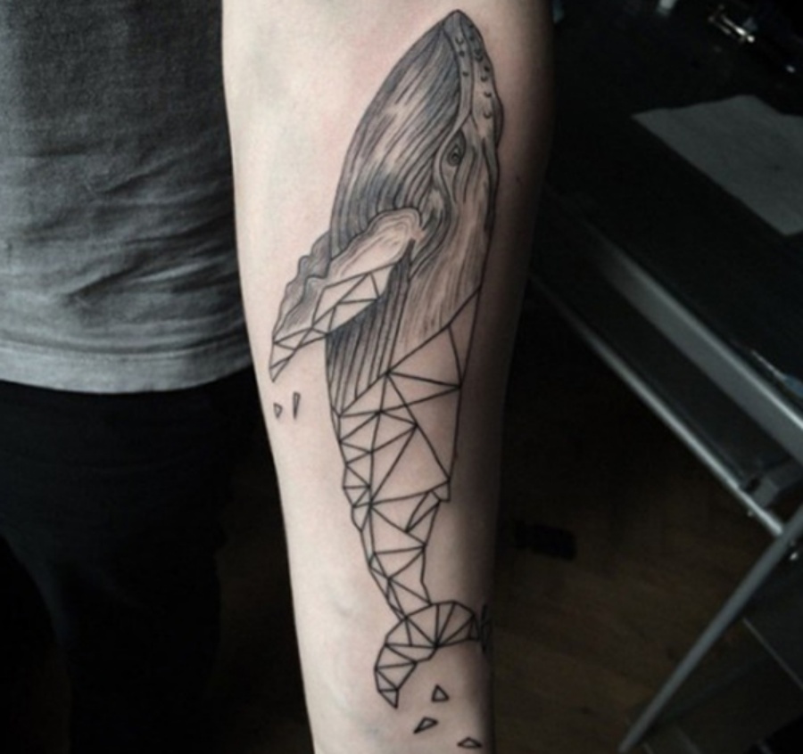 50 hình xăm cá voi cực chất cho nam giới  Whale Tattoo Designs  Tattoo  designs men Whale tattoos Tattoo designs