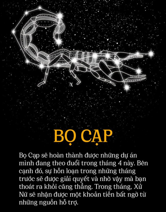 09105036 cung bo cap