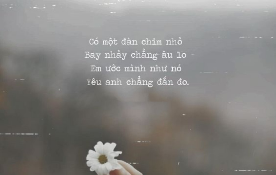 25184816 4