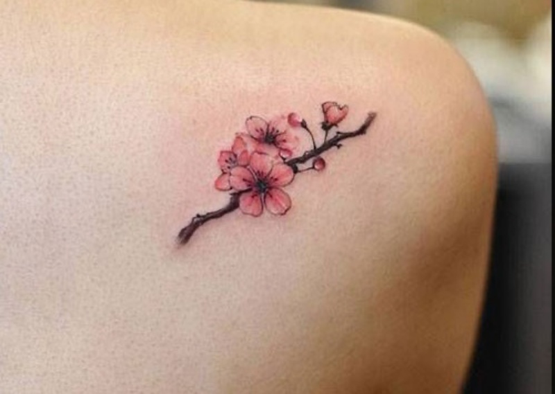 Top 3 mẫu Hình xăm cành hoa anh đào đẹp và đầy ý nghĩa