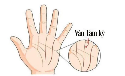 #GIẢI ĐÁP về Thái ất tử vi tuổi Canh Tuất năm 2023 nam mạng sinh năm 1970 từ A - Z