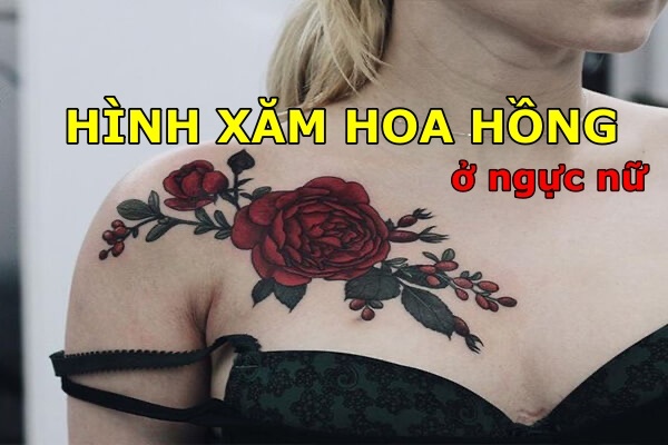199 Hình xăm hoa hồng ở ngực đẹp cho nữ đẹp nhất 2023