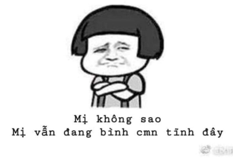 23170003-2-anh-che-bua-meme