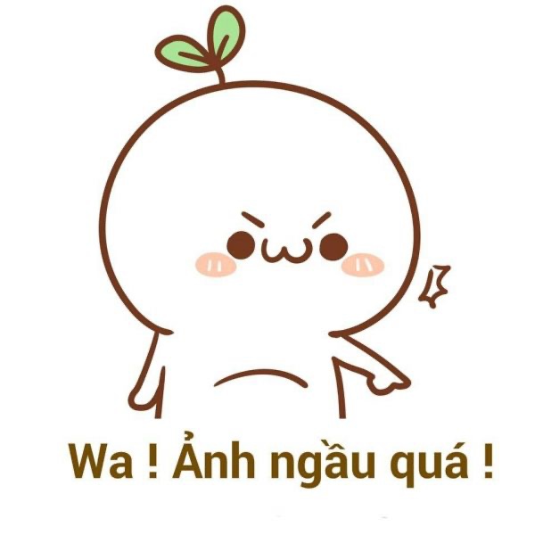 Hình Ảnh Meme Hài Cute Bựa Khiến Người Xem Không Nhịn Được Cười  Học  viện Anh ngữ toàn diện NYSE