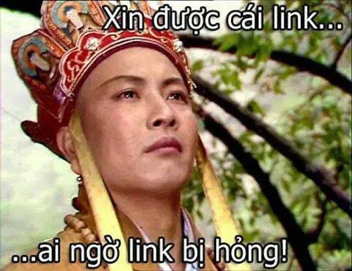 23174043-8-anh-che-bua-duong-tang