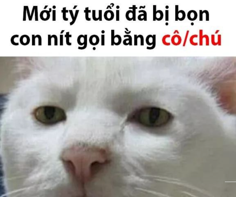 23174749-5-anh-che-chui-bua-va-ngoa-ngoat