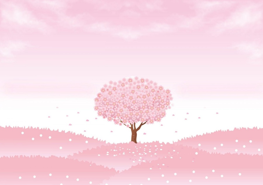Hình Nền Màu Hồng Phấn Nền đẹp Quảng Cáo HD và Nền Cờ đẹp màu hồng hào  quang phấn để Tải Xuống Miễn Phí  Lovepik