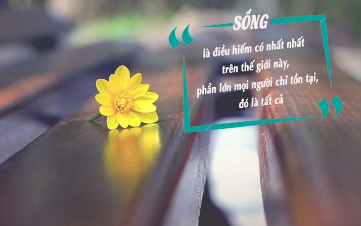 Status ngắn hay về cuộc sống