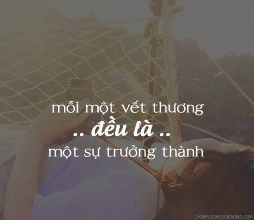 Stt Đậm Chất Xã Hội