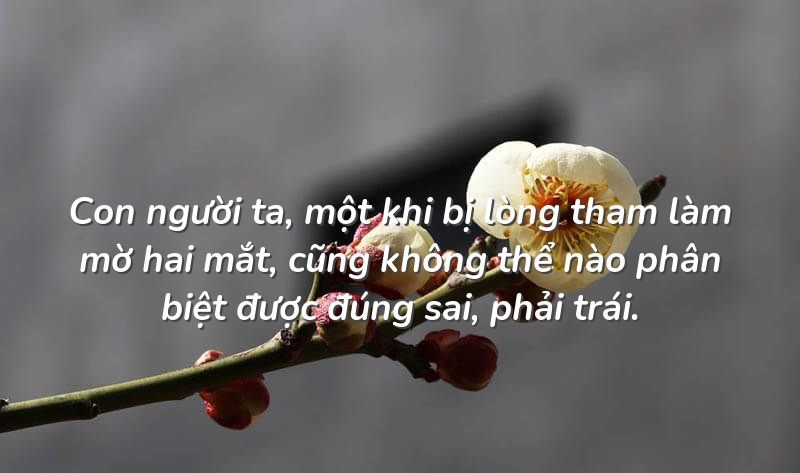 Những stt đậm chất đời xã hội buồn tâm đắc nhất
