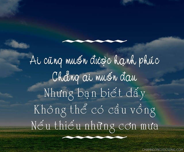 Stt ngắn hay và ý nghĩa về cuộc sống bon chen