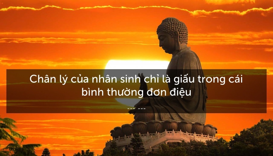 Stt Về Cuộc Sống Chất Ngắn