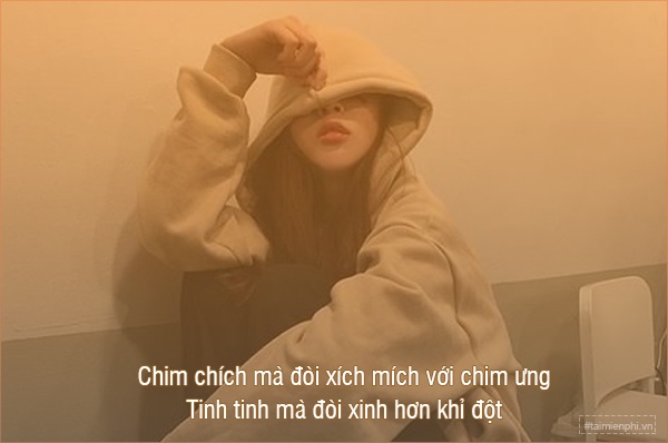 Stt Đậm Chất Đời Xã Hội ý nghĩa