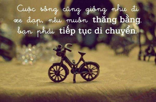 Những câu nói hay về cuộc sống và tình yêu