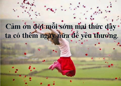 Stt đậm chất đời xã hội hay về cuộc sống tươi đẹp