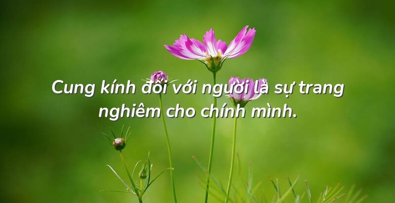 Stt cuộc sống xã hội đầy áp lực và mệt mỏi