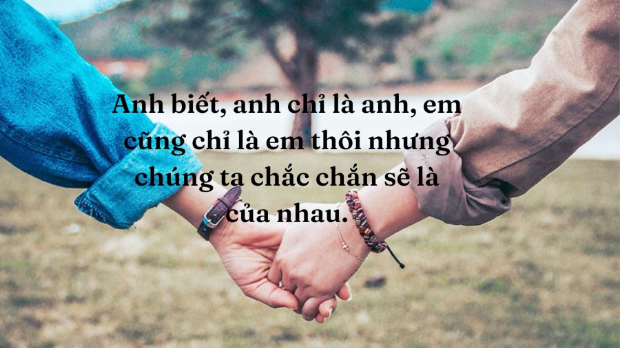 STT hay về cuộc sống và tình yêu đặc sắc