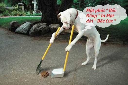 7749+ Tiểu Sử Facebook Hay Ngắn Cực Chất, Tạo Profile Ấn Tượng 2023