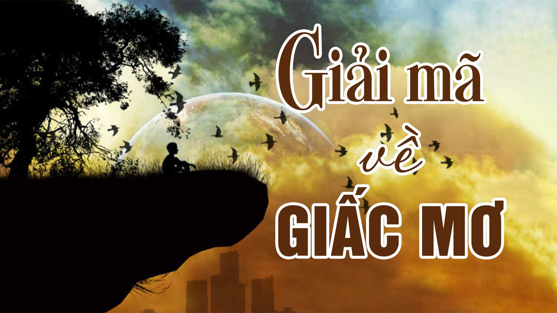 Nằm mơ thấy cá chép là điềm gì, lành hay dữ, đánh con gì? - Invert.vn