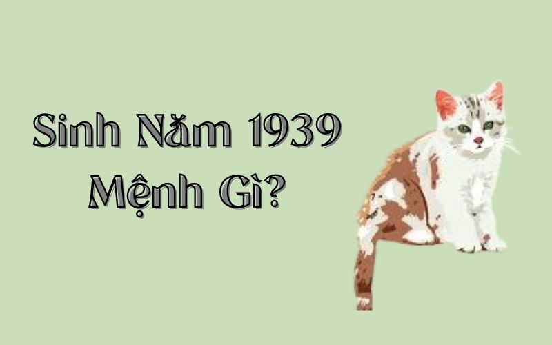 16124433-2-sinh-nam-1939-menh-gi
