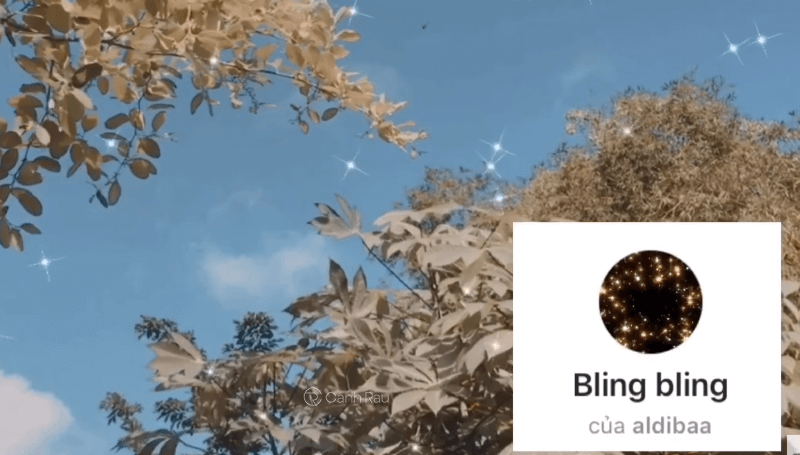 21071331-7-bling-bling
