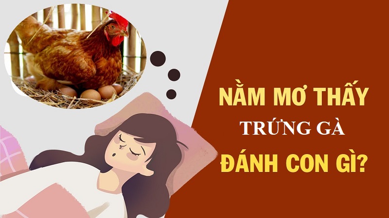 Mơ thấy trứng gà/vịt là điềm báo gì, lành hay dữ, đánh số mấy?