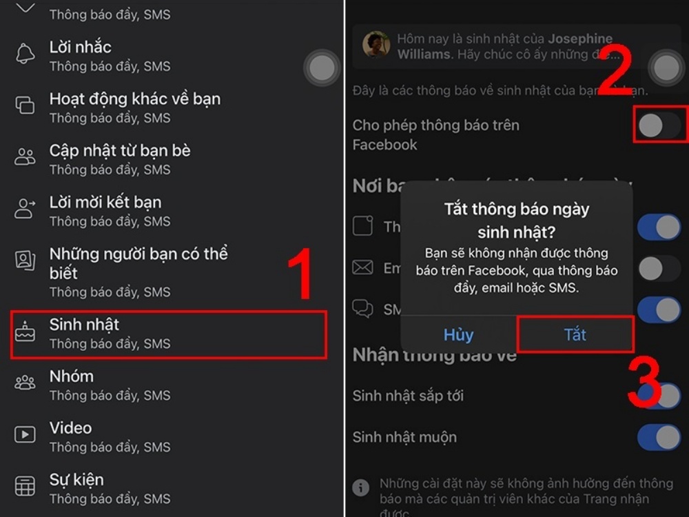 15181343 hinhb5