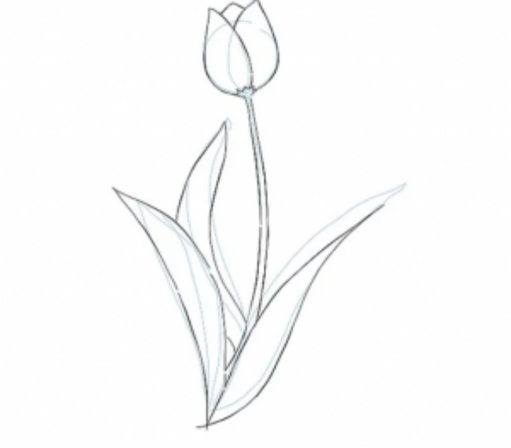 Chưa bao giờ vẽ hoa đào đơn giản như thế này  YeuTreNet