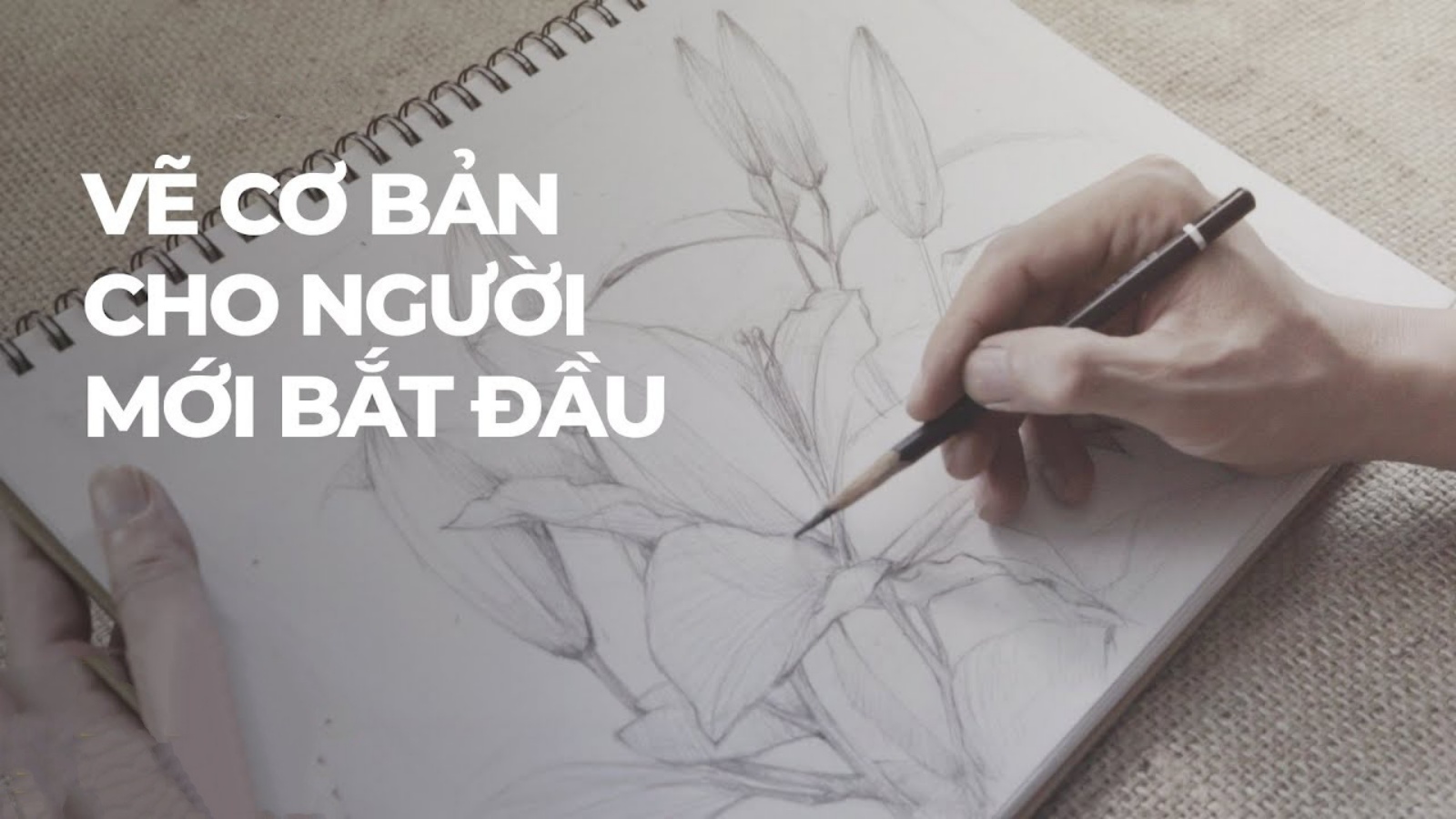 Cách Vẽ Bản Đồ Việt Nam Lớp 12 Hướng Dẫn Cách Vẽ