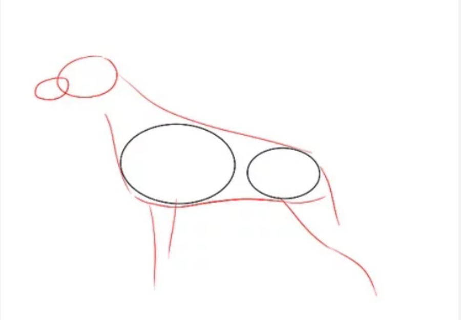 Vẽ những đường đi qua phía trên của hai hình bầu dục nhưng hướng xuống dưới