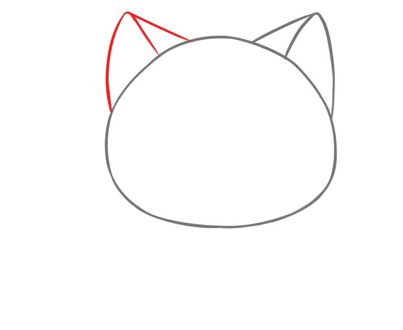 Vẽ hình nón ở bên đầu còn lại của chú mèo