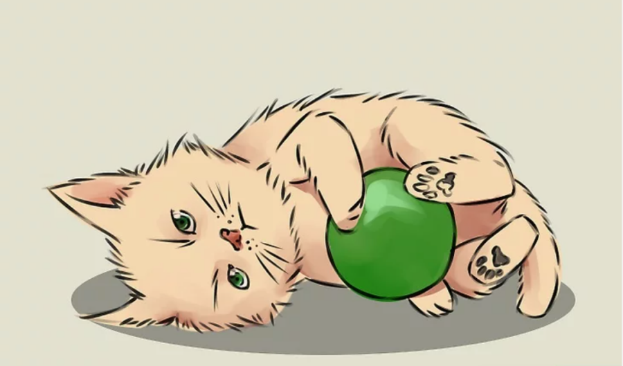 Cách vẽ con mèo đang nghịch quả bóng