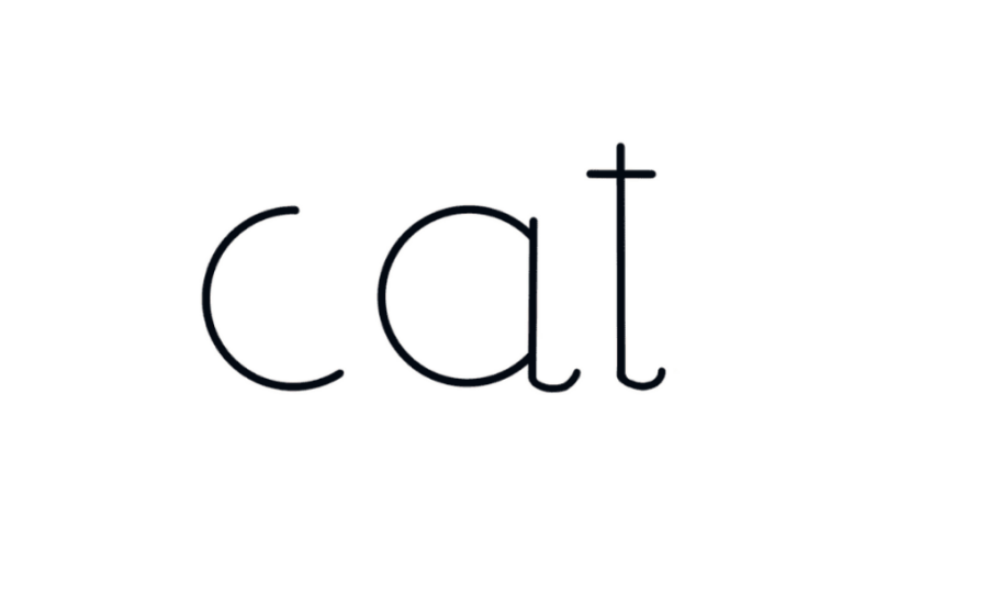 Viết từ ‘cat’-con mèo lên bảng vẽ.
